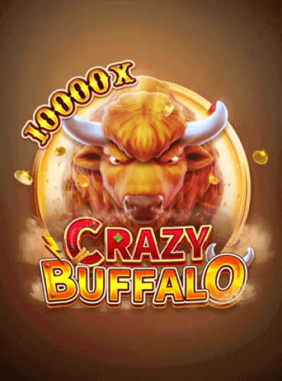 Cricket betting game cover